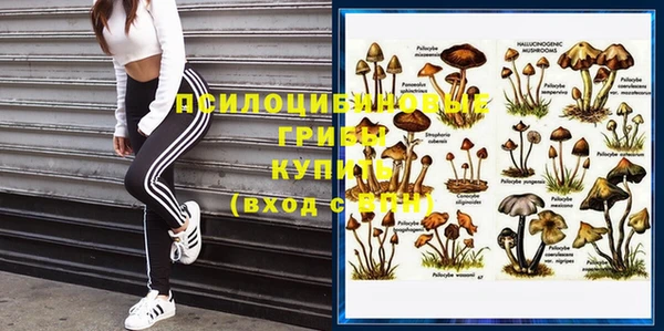 крисы Покровск