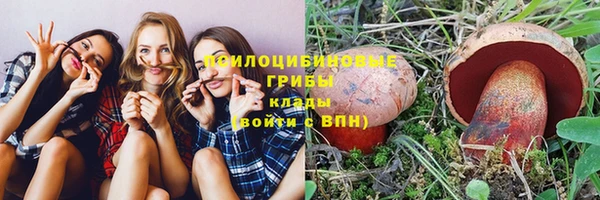 твердый Алзамай
