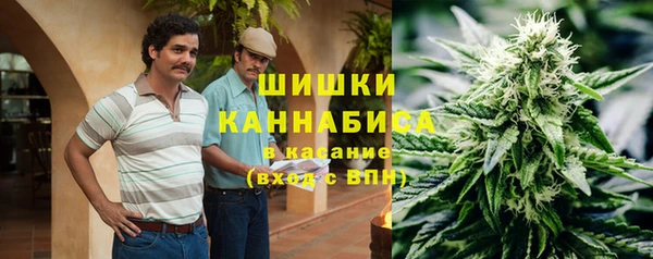 твердый Алзамай