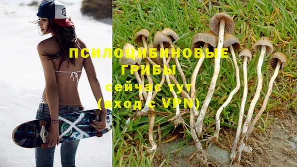 твердый Алзамай