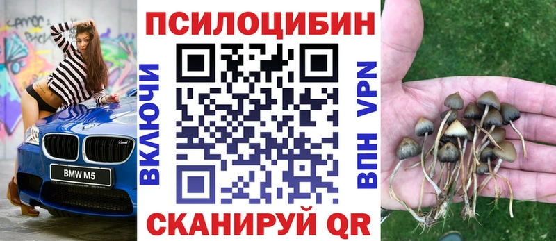 Псилоцибиновые грибы прущие грибы  цены наркотик  Клин 